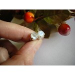 Stříbrné náušnice měsíční kámen kulaté Náušnice