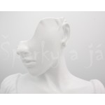 Stříbrné náušnice  zirkon  Náušnice