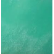 Chryzopras