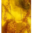 Jantar (527)