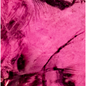 Rhodolit